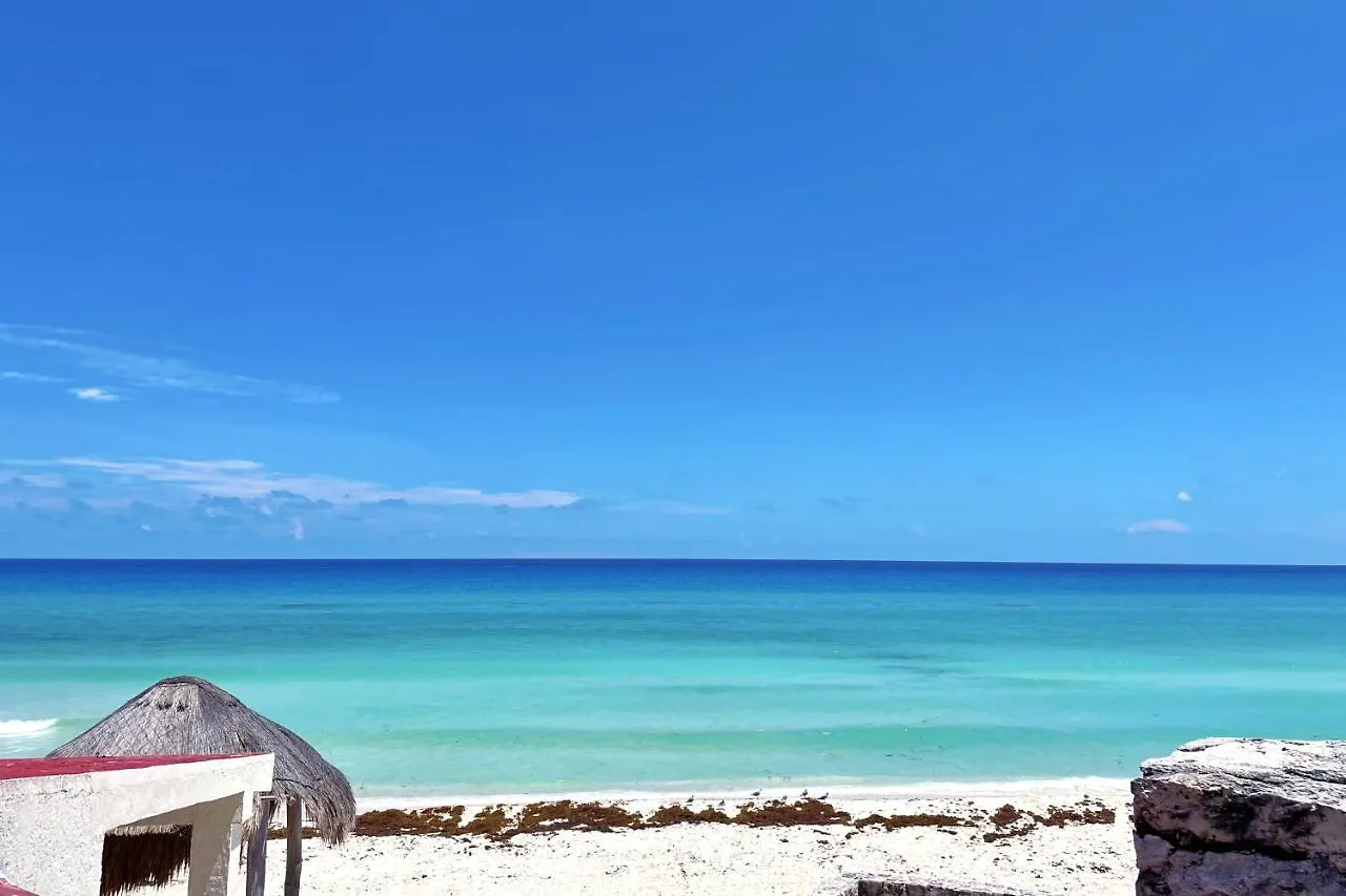 Renovated Studio In Cancun Beach At The Hotel Zone 0*,