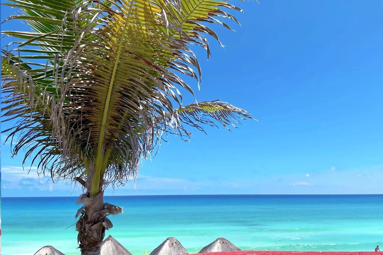 Apartamento Renovated Studio In Cancun Beach At The Hotel Zone México